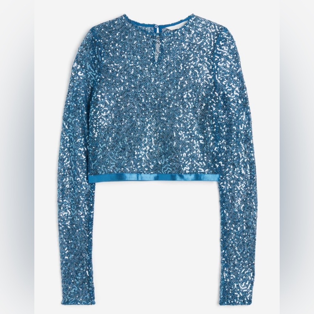 3 for $60 | H&M Blue Sequin crop top